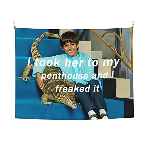HYYCCUE I Took Her To My Penthouse Ravi Tapestry Ravi Freaked It Essential Tapestry For College Dorm Room Bedroom Livingroom Wall Hanging Aesthetics Tapestry 29"x37" - 29“x37" - I Took Her To My Penthouse Ravi Tapestry Ravi Freaked It Essential