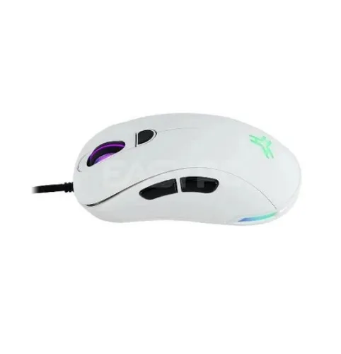 RAKK Kaptan PAW3395 wired and wireless gaming mouse