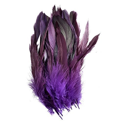 Pack of 50 Rooster Pheasant Dip Dyed Feathers - 5-8" (12-20cm) Approx Length - Six Colour Choices (Purple) - Purple