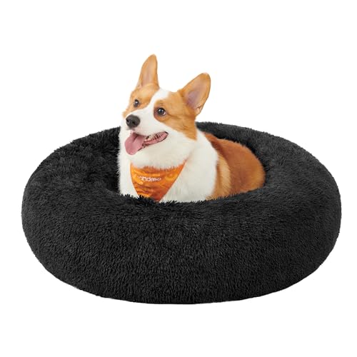 Feandrea Panier pour Chien, Lit Ronde en Forme de Beignet, Canapé, Coussin Central Amovible et Lavable, Tissu Peluche Doux, Ø80 cm, Noir d'encre PGW040B01 - L 80 x l 80 x H 20 cm - Noir