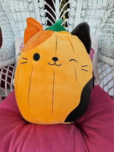 Pumpkin Cam Squishmallow