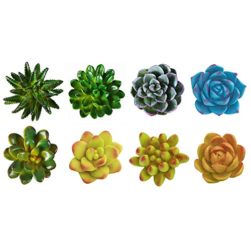 CoCoMe Funny 3D Resin Succulent Fridge Refrigerator Magnets, Set of 8 - Set of 8