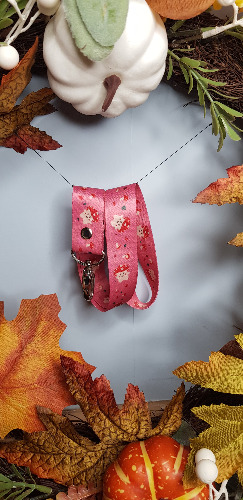 Mushroom Friends Lanyard