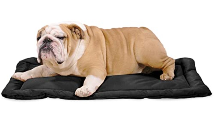 K9 Ballistics Tough Dog Crate Pad - Washable, Durable and Water Resistant Dog Crate Beds - Medium Dog Crate Mat, 35"x23", Obsidian Black - Medium (35" L x 22" W) - Obsidian Black