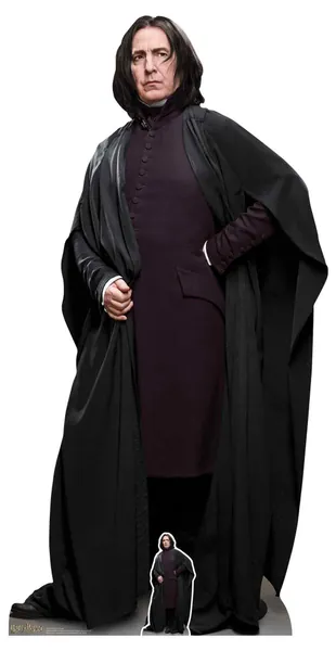Cardboard Snape