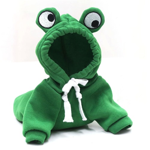 Frog costume