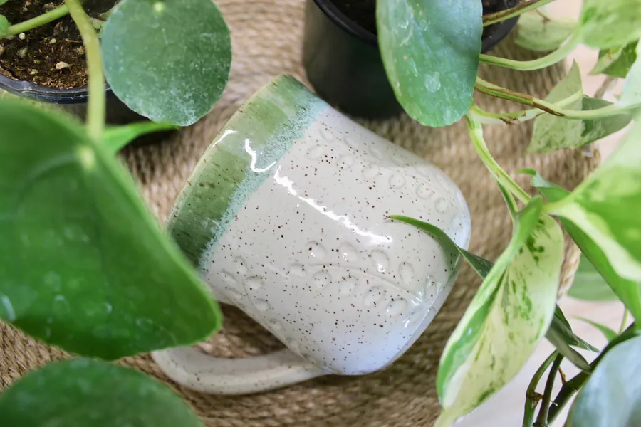 Plant Person Mug - handmade pottery - stoneware - sage green ceramic plant mug