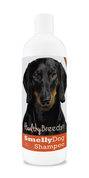 Healthy Breeds Smelly Dog Deodorizing Shampoo & Conditioner with Baking Soda - Over 200 Breeds - Hypoallergenic with Oats & Aloe - 8 oz - Dachshund, Black