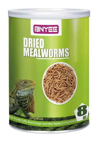 Reptile Food Dried Mealworms Pet Worms Food for Bearded Dragon, Lizard, Turtles, Chameleon, Monitor, Frog, Sugar Glider, Chickens, Birds, Hamsters and Hedgehogs (8 OZ) - 8 Ounce (Pack of 1)