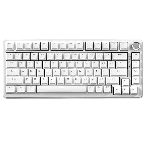 YUNZII B75 Mechanical Keyboard,75% Layout with Knob,Hot Swappable RGB Backlit Gasket Mounted, Creamy Typing, Double-Shot PBT Keycaps,Cherry Profile,for Win/Mac (White, Blue Grey Tactile Switch) - Blue Grey Tactile Switch - White