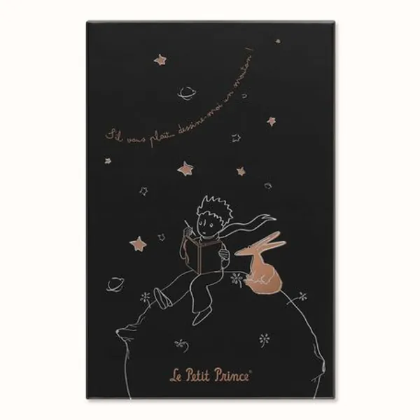 Moleskine Le Petit Prince Limited Edition Notebook