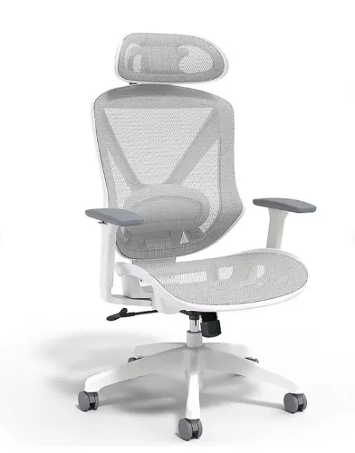 Staples Dexley Ergonomic Mesh Swivel Task Chair