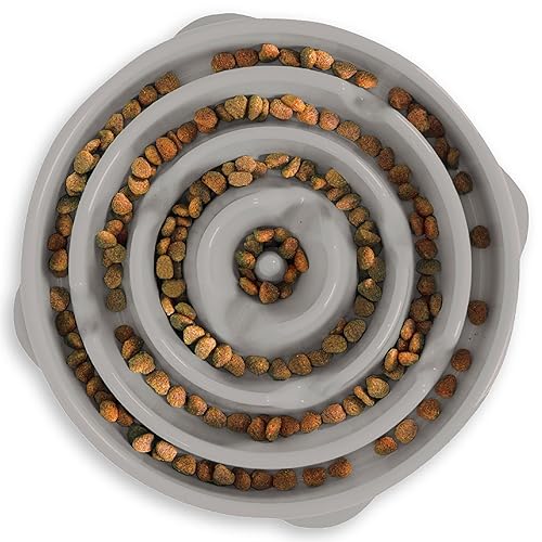 Outward Hound Fun Feeder Slo Bowl, Large Slow Feeder Dog Bowl, 4 Cups, Gray - Gray