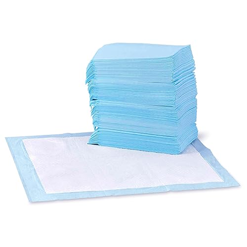 Amazon Basics Dog and Puppy Pee Pads with Leak-Proof Quick-Dry Design for Potty Training, Standard Absorbency, Regular Size, 22 x 22 Inches, Pack of 100, Blue & White - Unscented - Regular (100 Count)