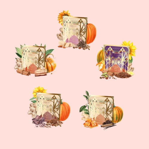 Pumpkin Spice Abundance Sampler Bundle | Default Title
