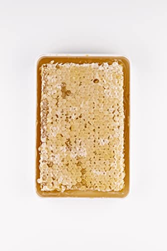 Sanniti Fulmer All Natural Hungarian Acacia Honeycomb (14.1 oz) - 14.1 Ounce (Pack of 1)