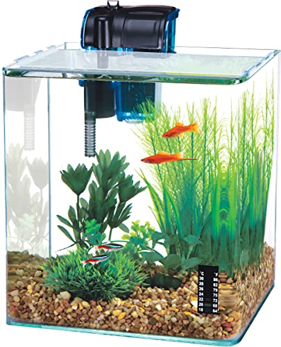 Penn-Plax Water-World Vertex Desktop Aquarium Kit - Perfect for Shrimp & Small Fish - 5 Gallon Tank - 5 Gallon