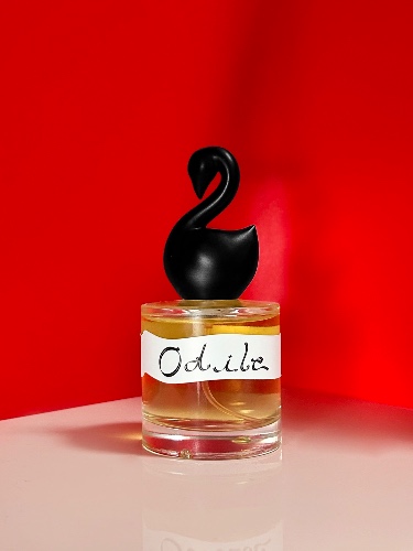ODILE — GUMAMINA