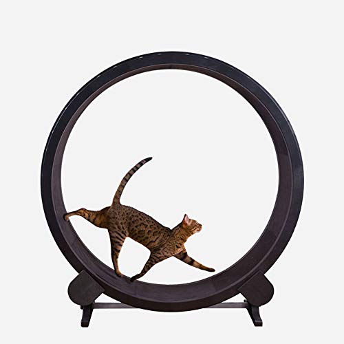 RSTJVB Cat Scratch Board Cat Exercise Wheel Treadmill Ferris Wheel Pet Furniture Grab Crawling Shelf Wheel Rotation Fitness Weight Loss Toys
