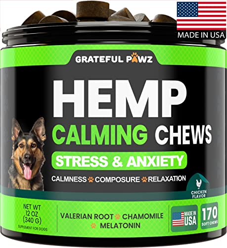 Hemp Calming Chews for Dogs - Dog Anxiety Relief & Stress - 170 Dog Calming Treats - Travel, Thunder, Separation - Hemp Oil - Valerian - Melatonin for Dogs - Sleep Calming Aid - Soft Bites - 170 Count (Pack of 1)