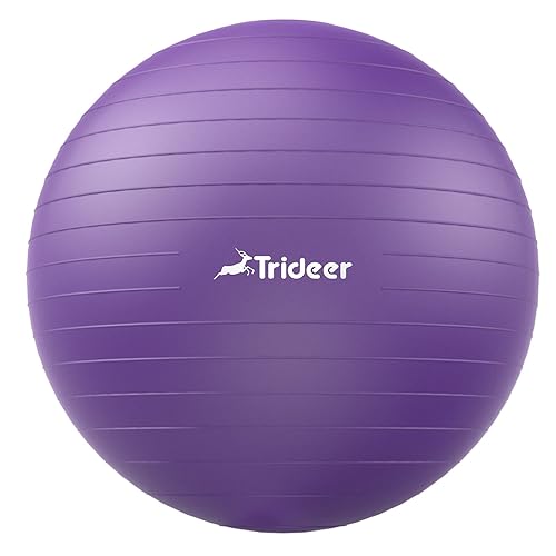Trideer Yoga Ball Exercise Ball for Working Out, 5 Sizes Gym Ball, Birthing Ball for Pregnancy, Swiss Ball for Physical Therapy, Balance, Stability, Fitness, Office Ball Chair, Quick Pump Included - Purple - L(23-26ines/58-65cm)