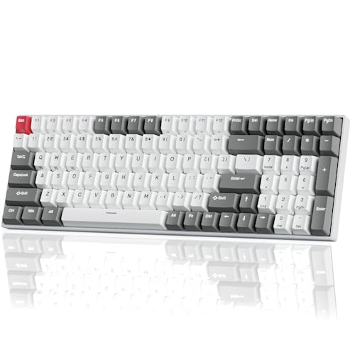 RK ROYAL KLUDGE RK100 Wireless Mechanical Keyboard, Bluetooth5.1/2.4G/Wired 96% Full Size 100-Key Hot Swappable Gaming Keyboard with 3 USB Ports, Blue Switch for Mac Windows, Classic - Hot Swappable Blue Switch - Classic