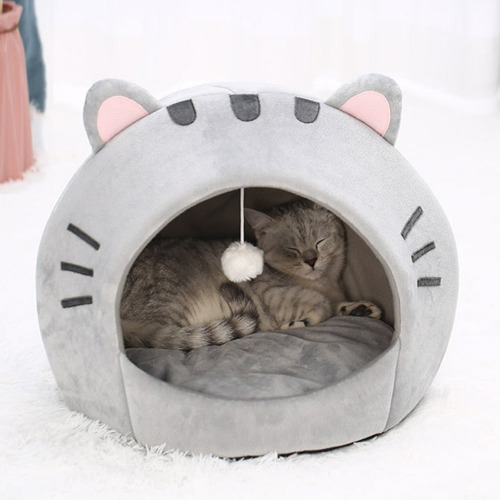 Cat - Pet House