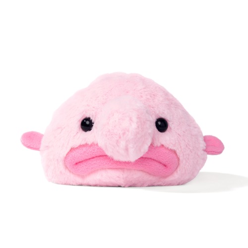 Blobby the Blobfish | Mini