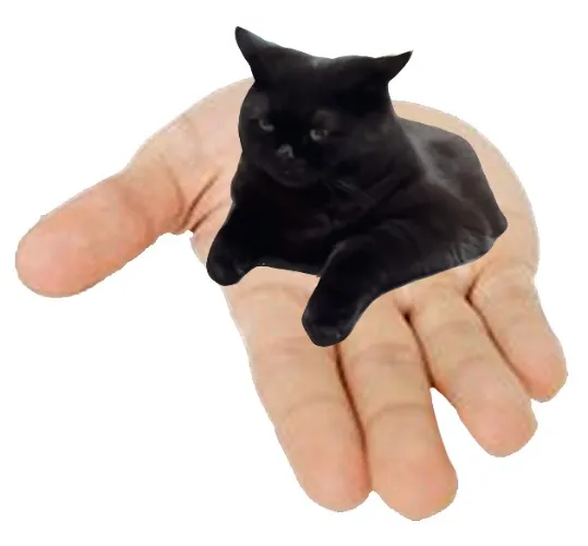 ✨Serotonin✨& ✨Dopamine✨