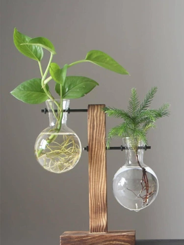 1set Hydroponic Plant Vases Flower Pot Transparent Wooden Frame Glass Hanging Vase for Sale Australia| New Collection Online| SHEIN Australia