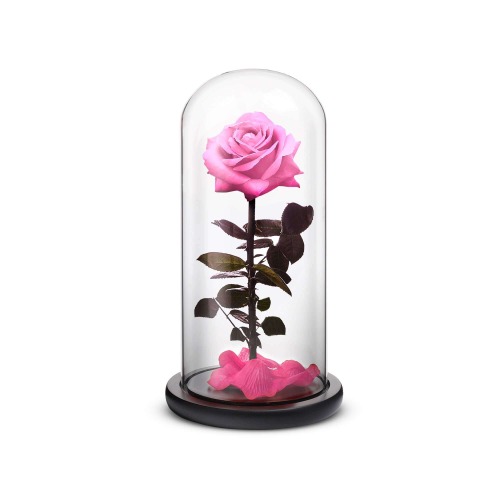 Everlasting Rose (Pink) - Large