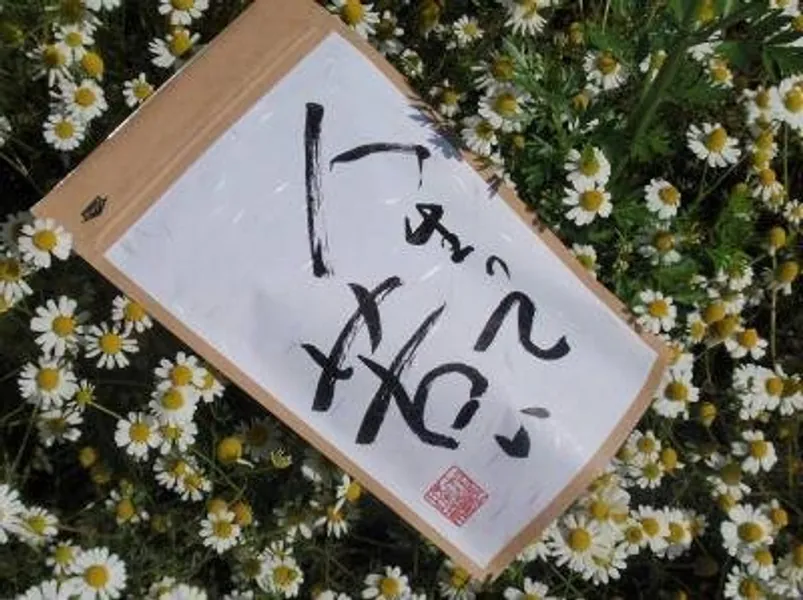 人生って苦い 1個 (x 10)