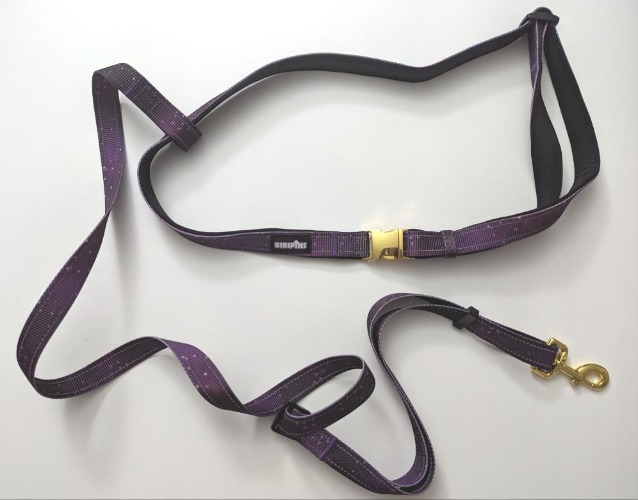 Galaxy Pet Hands Free Leash