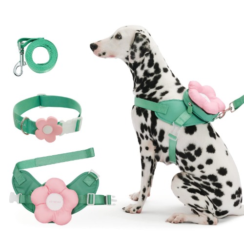 VETRESKA Dog Harness and Leash with Collar Set, No Pull Flower Pet Vest Harness, Adjustable Easy Control Dog Vest for Small Medium Large Dog-M - Medium