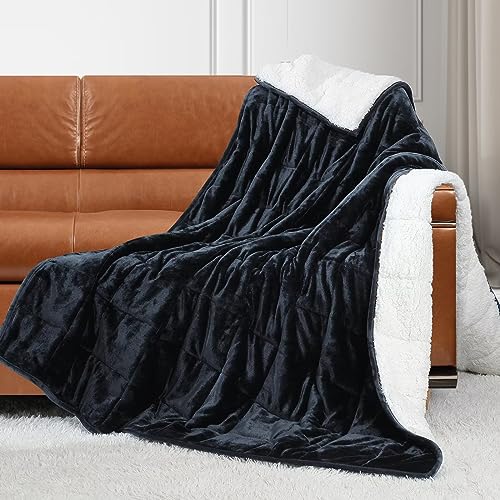 Alomidds Twin Size 20lbs, Weighted Blanket for Adults, Fluffy Warm Sherpa & Cozy Soft Flannel Snuggle Thick Heavy Blanket Great for Sofa Bed, 48x72 inches, Dark Grey - A(grey) - 48"x72" 20LBS