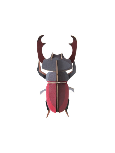 Stag Beetle - Studio ROOF
