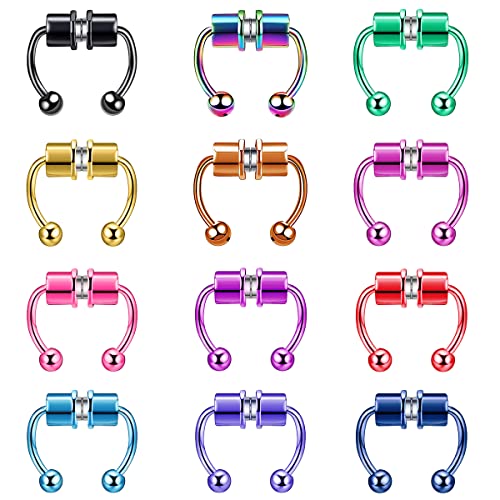 BELLNA Fake Nose Rings, Fake Septum Fake Nose Ring Horseshoe Stainless Steel Magnetic Nose Rings For Women Men Colorful, Fake Nose Rings Septum Rings Non-Pierced Clip On Nose Hoop Rings Jewelry - 12pcs multi-color