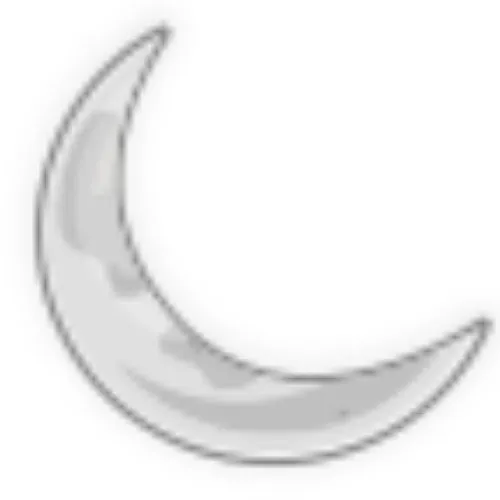 $10 Moon Sticker Dono