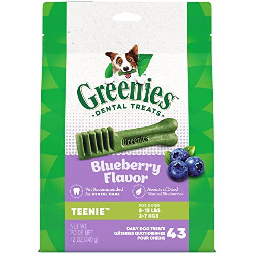 GREENIES TEENIE Natural Dog Dental Care Chews Oral Health Dog Treats Blueberry Flavor, 12 oz. Pack (43 Treats) - Blueberry - 12 Ounce (Pack of 1)