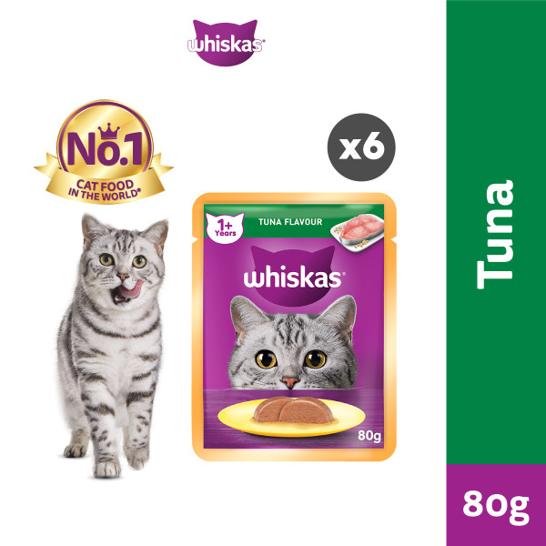 Wet Food for Minjung!