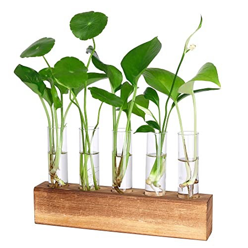 onepeng Propagation Stations,5 Test Tube Plant Terrarium in Wooden Stand for Hydroponic Plants Cutting,Office Home Decor, Birthday Gifts for Women - Beige - Desktop 5 Test Tube