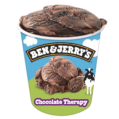 Ben & Jerry's Ice Cream Chocolate Therapy 16 oz