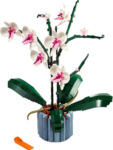 Orchid 10311 | LEGO® Icons | Buy online at the Official LEGO® Shop US 