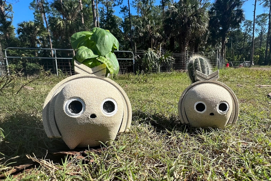 Koco Planter from Sonic Frontiers