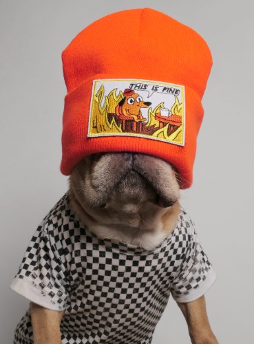 This Is Fine Beanie | ORANGE