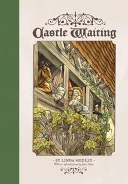 Castle Waiting book