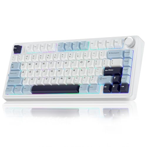 AULA F75 75% Wireless Mechanical Keyboard,Gasket Hot Swappable Custom Keyboard,Pre-lubed Reaper Switches RGB Backlit Gaming Keyboard,2.4GHz/Type-C/Bluetooth Mechanical Keyboard (White & Blue) - Glacial Blue F75