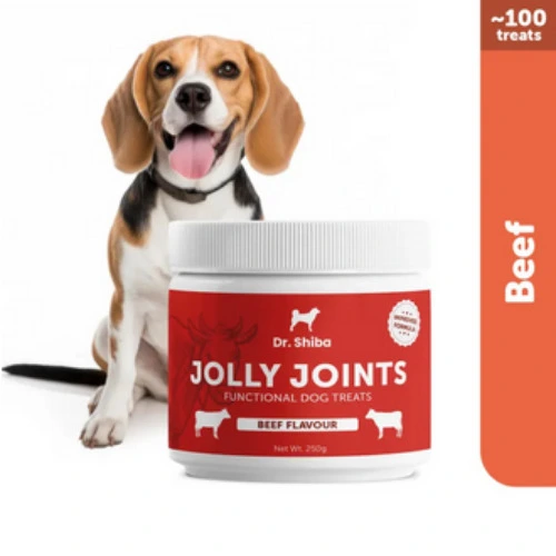 Dr. Shiba Jolly Joints Healthy Dog Treats Supplement (Beef)