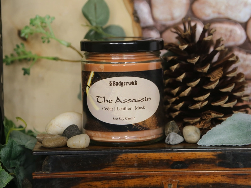 The Assassin, inspired by Zevran from Dragon Age: Origins.