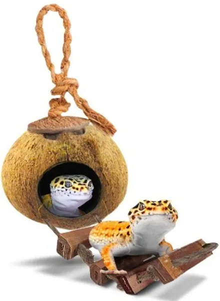 SunGrow Leopard Gecko Coconut Husk Hut with Ladder, 5” Diameter, 2.5” Shell Opening, Cave Habitat with Hanging Loop, 1 Pc per Pack